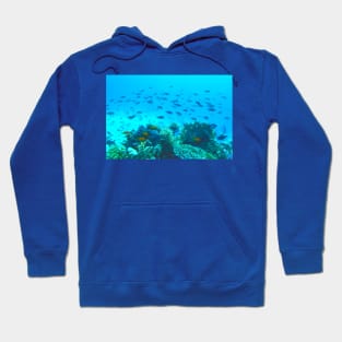 Tropical Fish Swimming Underwater in Blue Ocean Hoodie